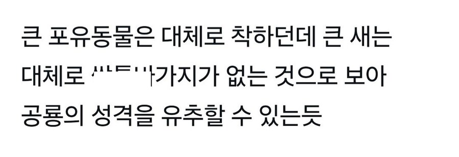 성격 더러운 넓적부리황새.jpg_3.jpg