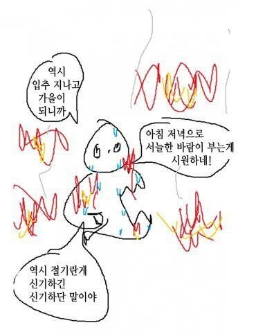 입추가 지나고 난 뒤 한국인 특징.jpg_1.png