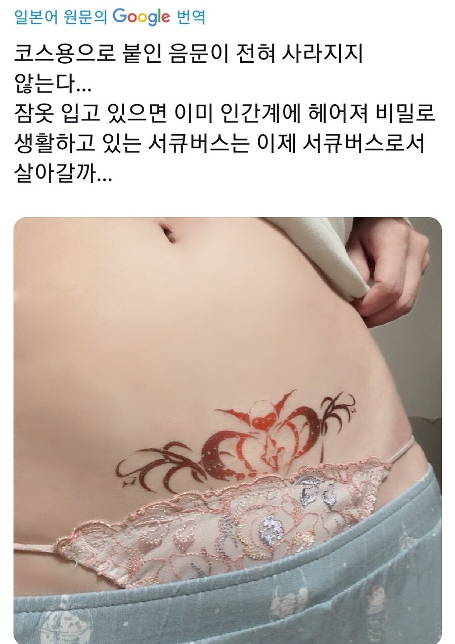 씹덕들 서큐버스가 진짜 있는줄 알죠 ㅋㅋㅋㅋㅋ_1.jpg