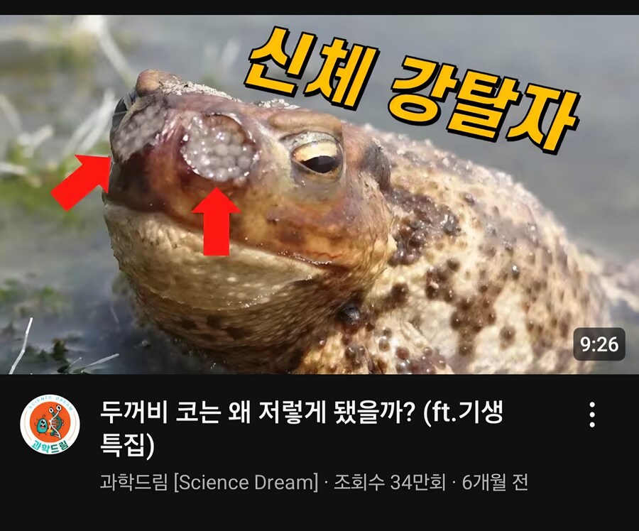 혐)두꺼비 코에 애벌레_2.jpg