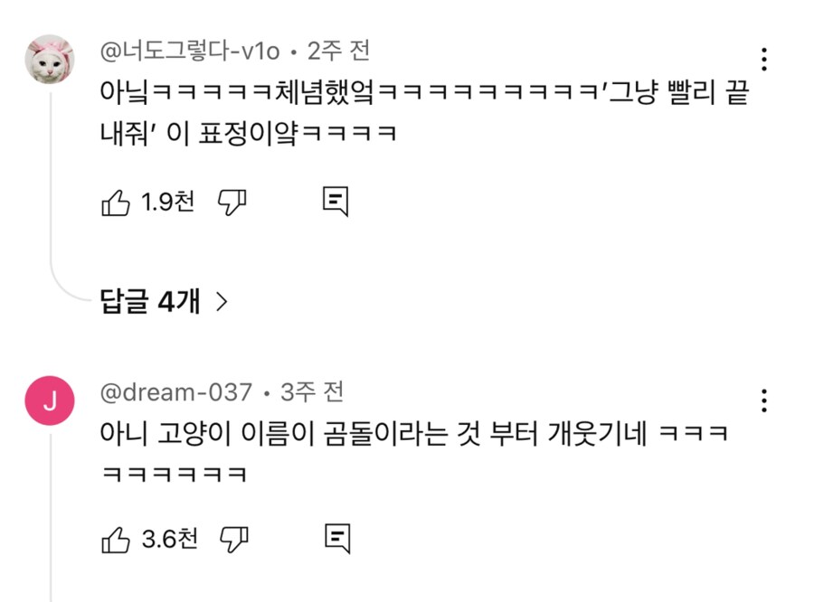 전설의 냥빨래 2탄(점순이 아님)_4.png