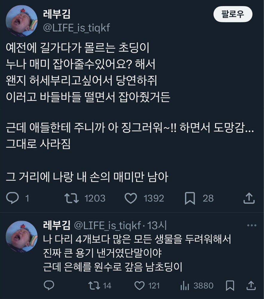 초딩을 위해 매미를 잡아준 누나.jpg_1.jpg