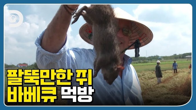 베트남에서 쥐를 처리하는 방법_1.jpg
