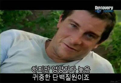 베트남에서 쥐를 처리하는 방법_4.png