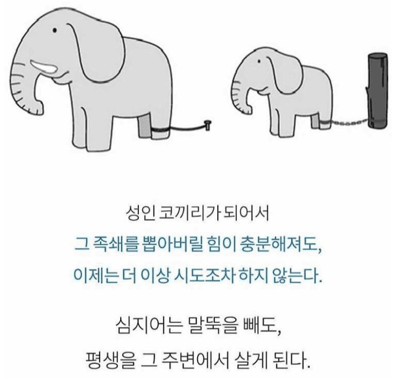 인생 망했다고 생각하면 봐라._2.png