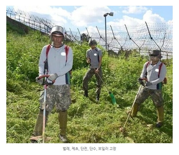 전원주택 살기 예비 체험_1.png