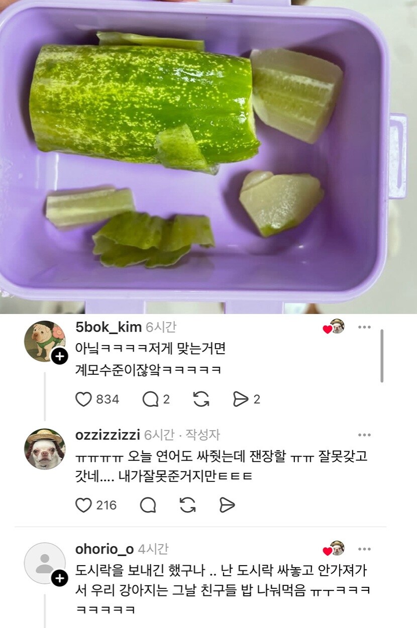 우리 강아지 유치원 도시락 잘못 가져갔어...!.jpg_2.jpg