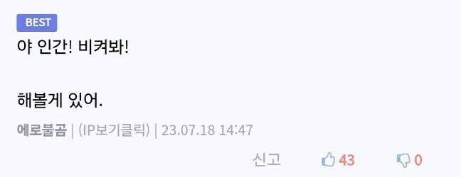굶주린 불곰을 만난 그 순간, 당신의 닉네임이 당신 앞에 나타났습니다.jpg_2.jpg