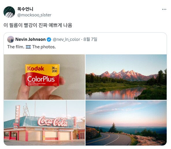 필름으로 찍은 사진.jpg_6.png