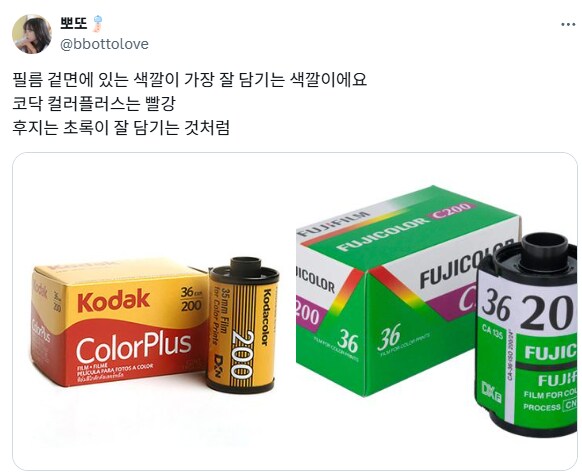 필름으로 찍은 사진.jpg_7.png