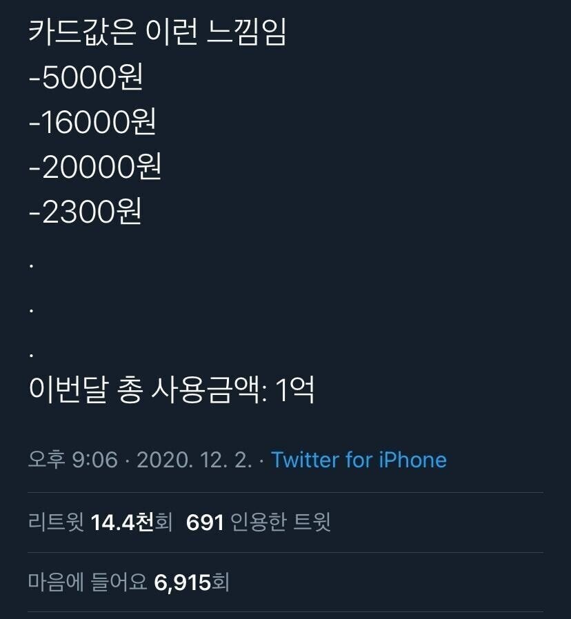 우리가 느끼는 카드값.jpg_1.jpg