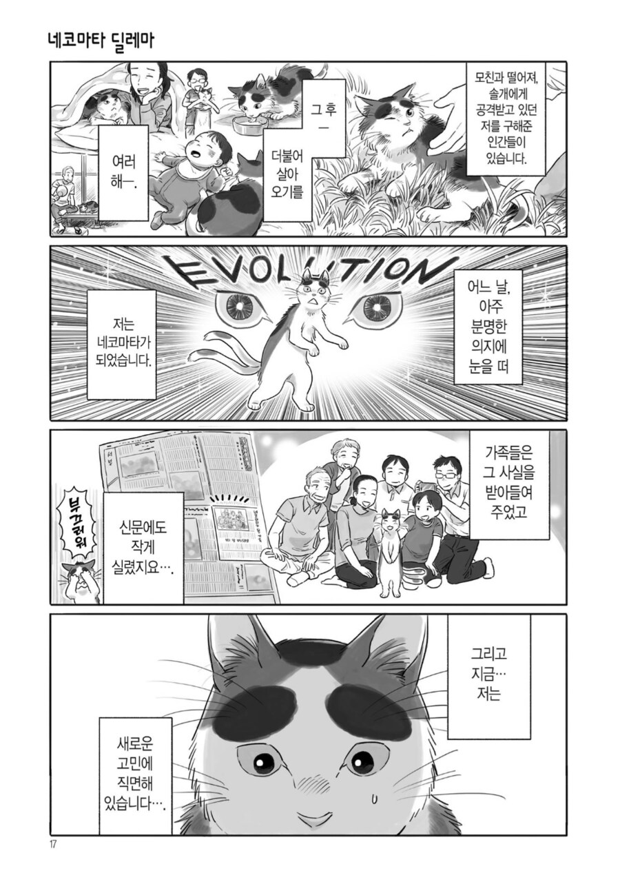 고양이가 20년을 살았으면 오래 산거지._1.png