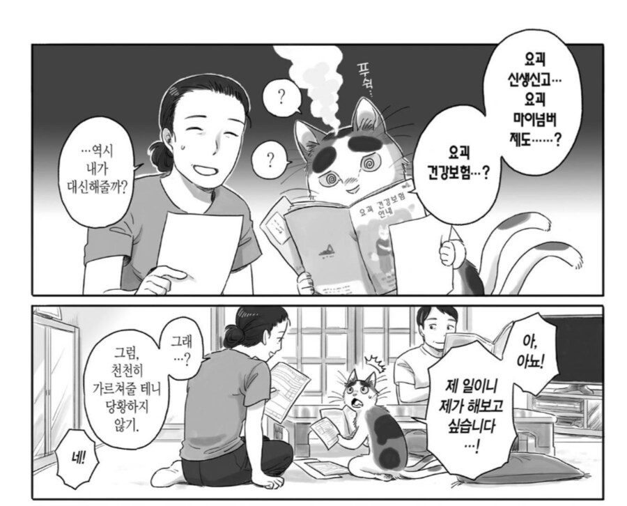 고양이가 20년을 살았으면 오래 산거지._2.png