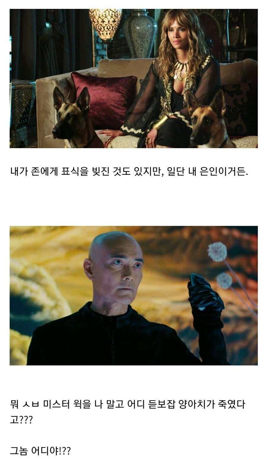 아들아 그래서 니가 존윅을 죽이고 개까지 죽였다고?_5.jpg