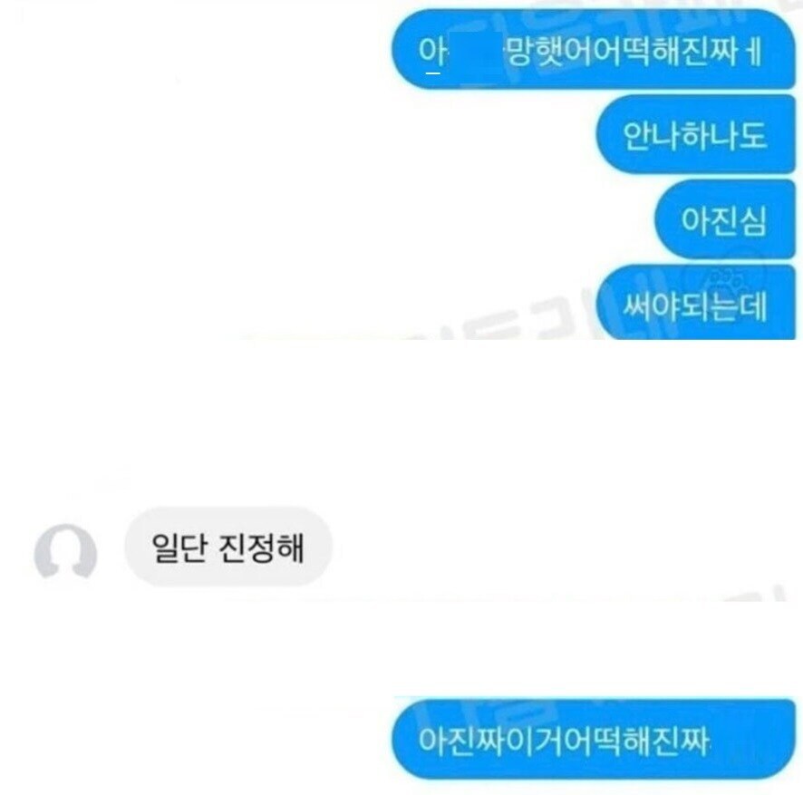 자소서 쓰다 날려먹었는데 친구 위로해주는 실력이 보통이 아님.jpg_3.jpg