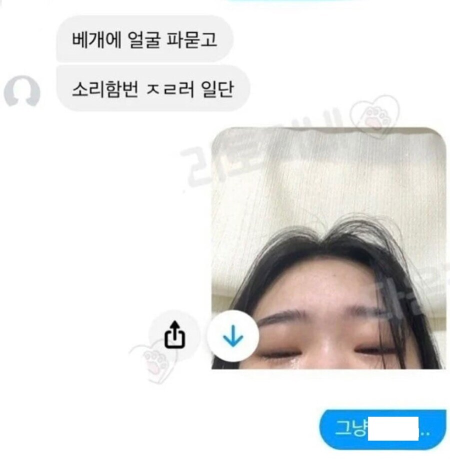자소서 쓰다 날려먹었는데 친구 위로해주는 실력이 보통이 아님.jpg_4.jpg