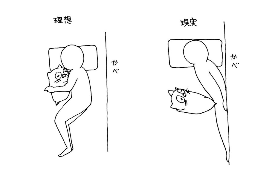 고양이와 한침대에서 자기 이상과 현실_1.jpg