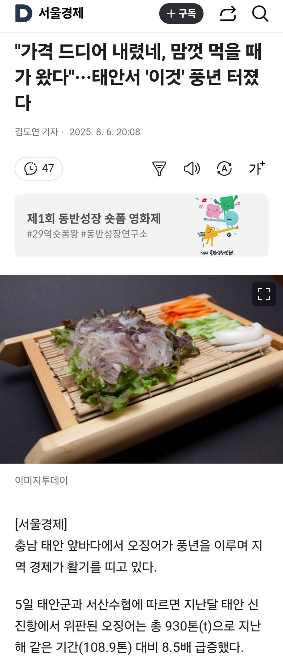 태안 오징어 풍년_1.jpg