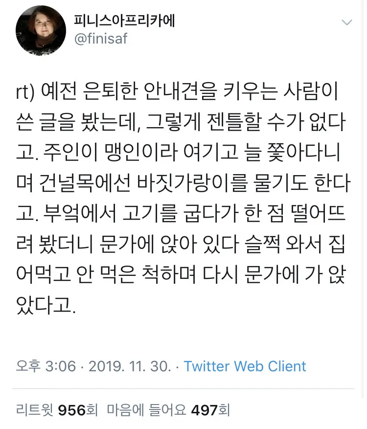 은퇴한 안내견._1.webp