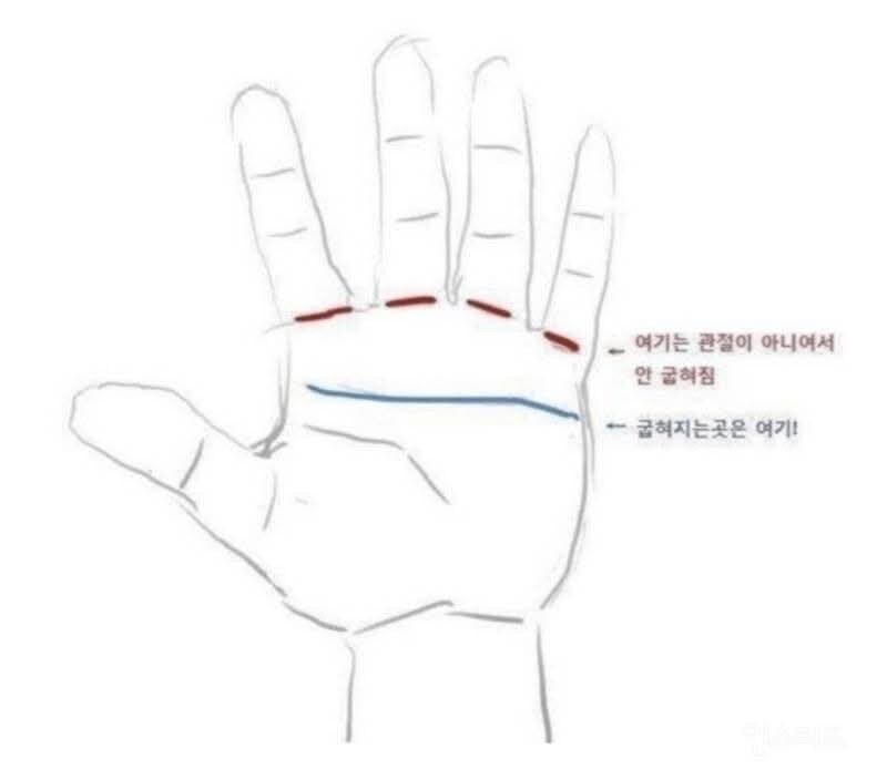 대부분은 모르는 손의 빨간약.jpg_1.jpg