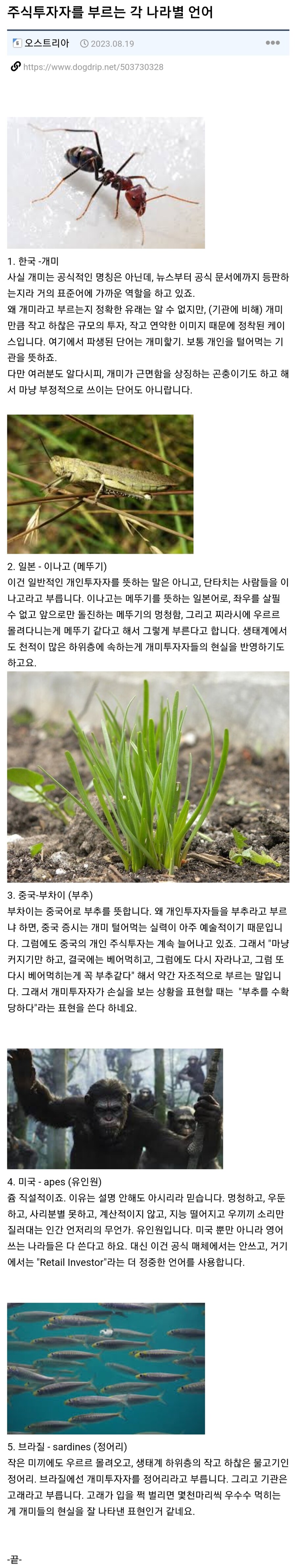 각 나라별 주식투자자를 부르는 명칭.jpg_1.jpg