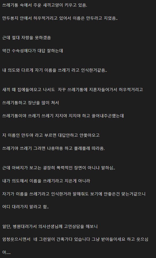 고양이 이름이 쓰레기가 됐다.png_1.png