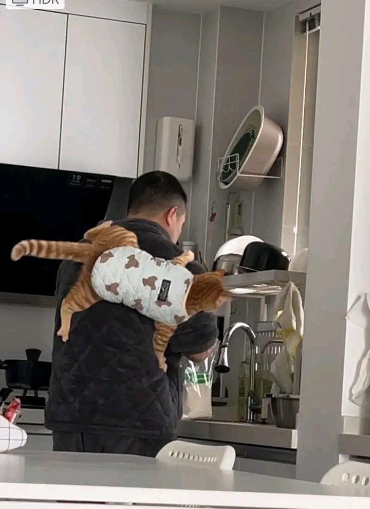 조금 색다르게 주인 등에 달라붙은 고양이 _1.jpg