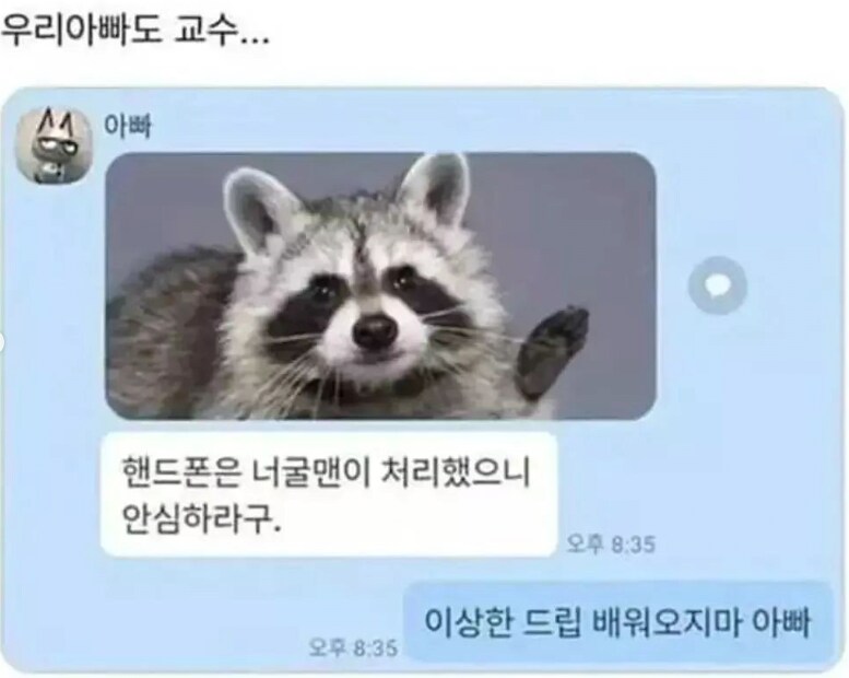 교직에 종사하는 부모님과 그 자식의 카톡.jpg_1.png