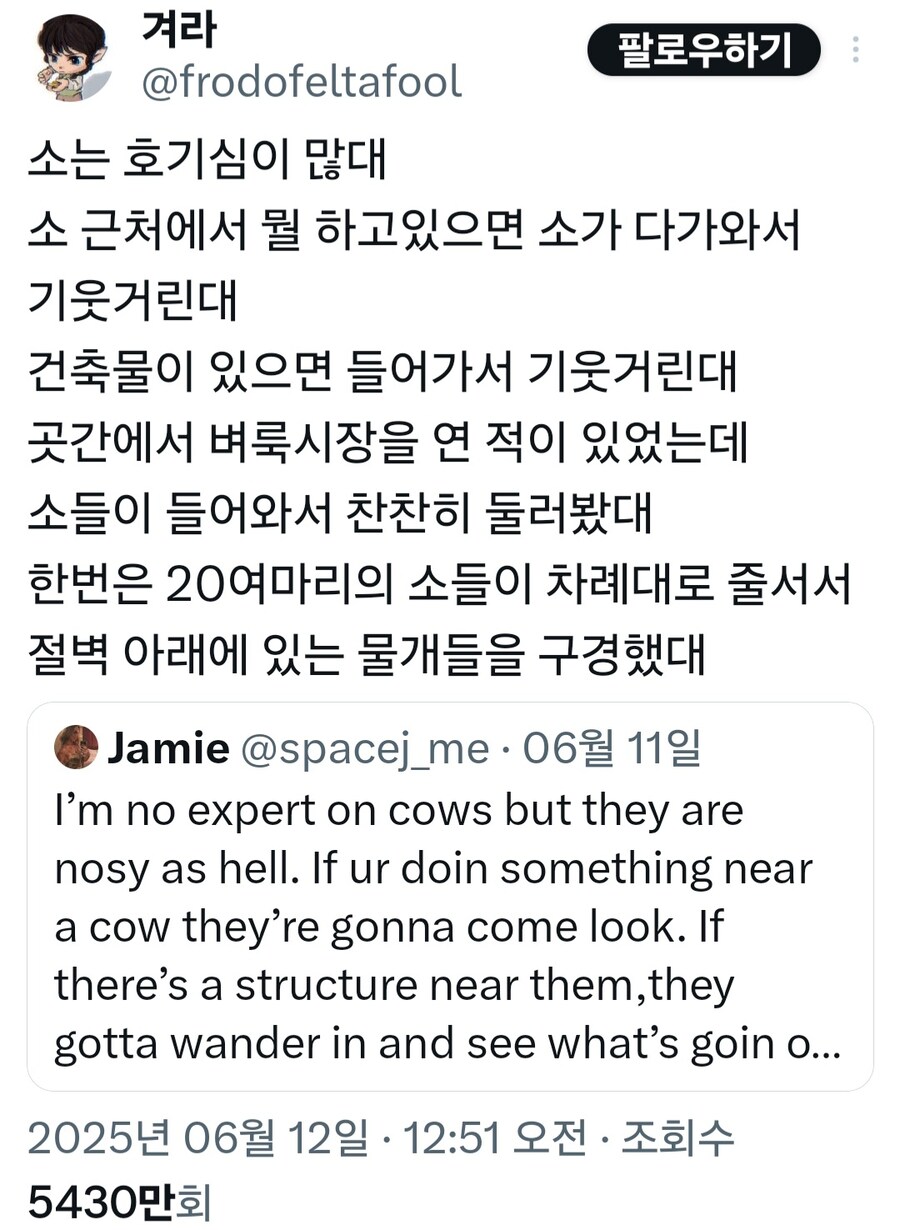 소들의 지능과 본능 요약._2.jpg