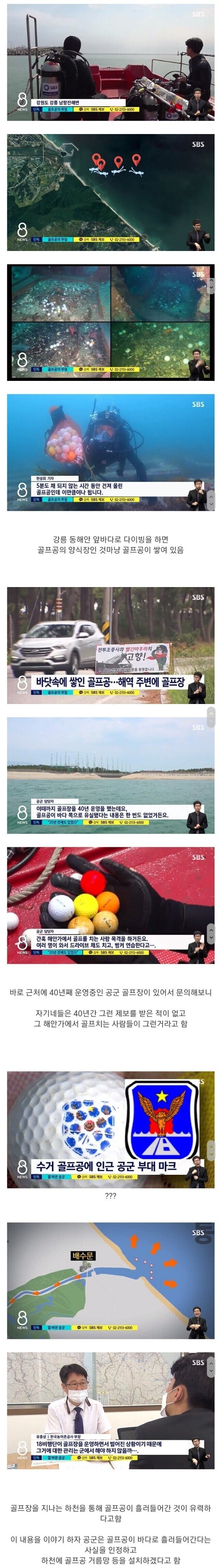 강릉 앞바다 특산물 jpg._1.jpg