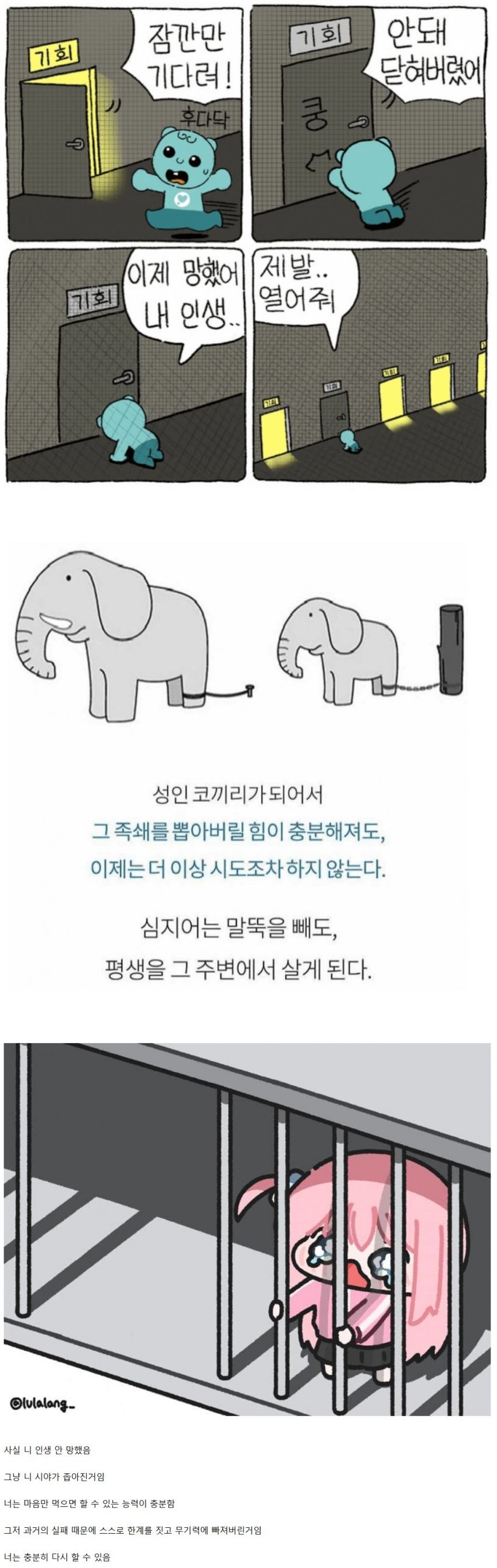 인생 망했다고 생각되면 보세요.jpg_1.jpg