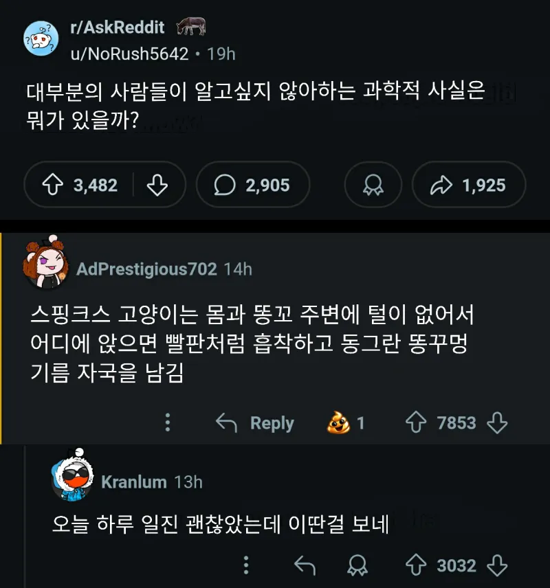 사람들은 잘 모르는 스핑크스 고양이 특_1.webp