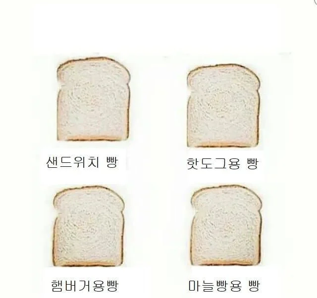 미국 하류층의 삶_5.webp