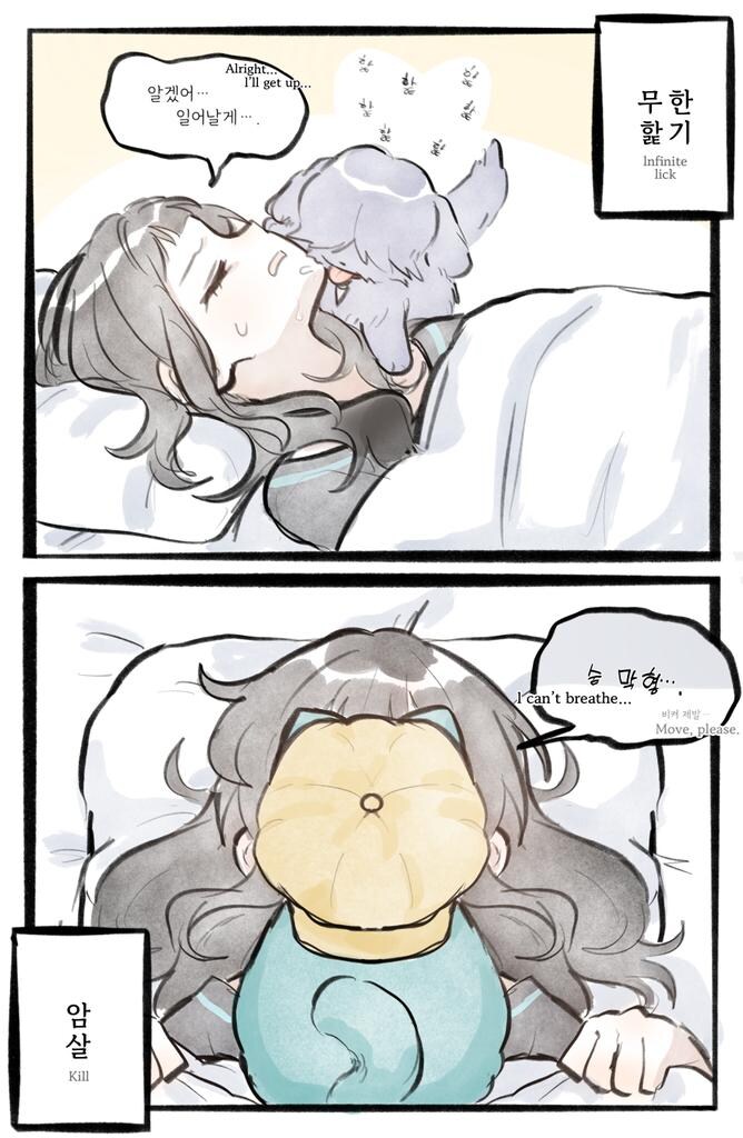 케이팝) 주인 깨우기_1.jpg