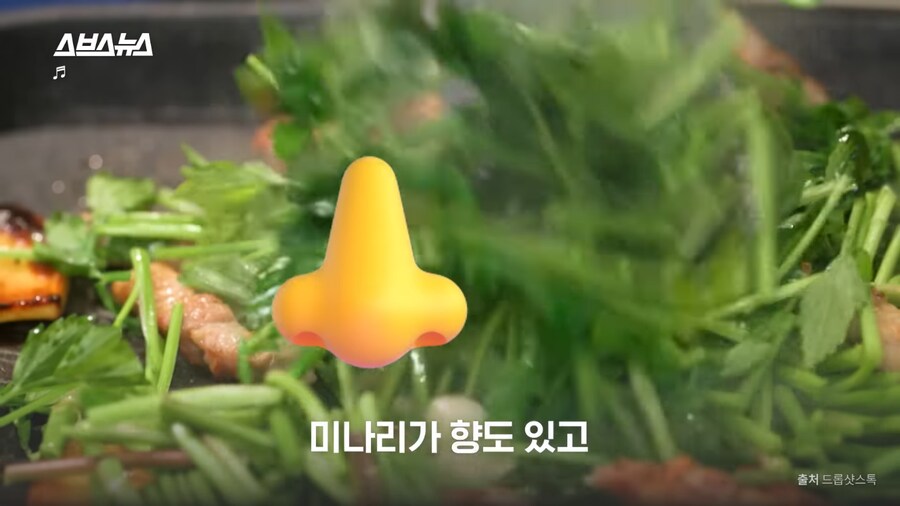 미나리 소비가 늘고있다는 일본_6.png