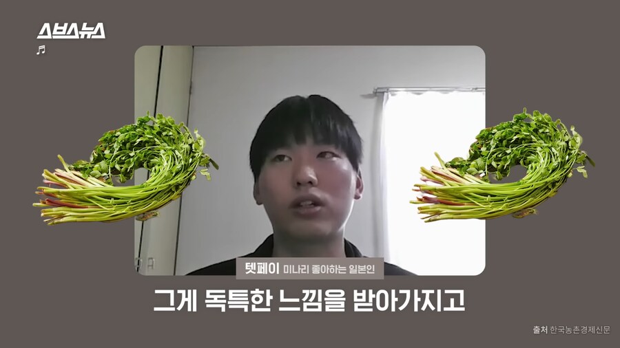 미나리 소비가 늘고있다는 일본_8.png