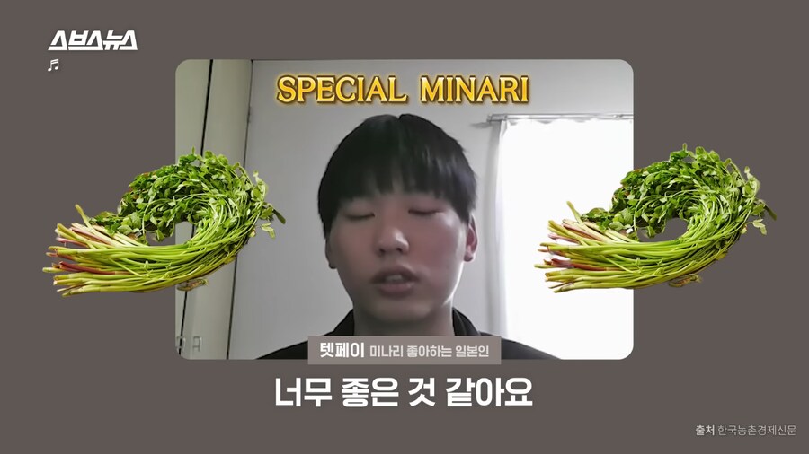 미나리 소비가 늘고있다는 일본_9.png