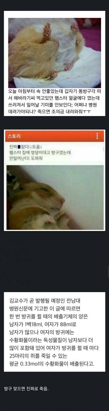 무심코 뀐 방귀, 누군가는 죽을 수도 있습니다.jpg_1.jpg