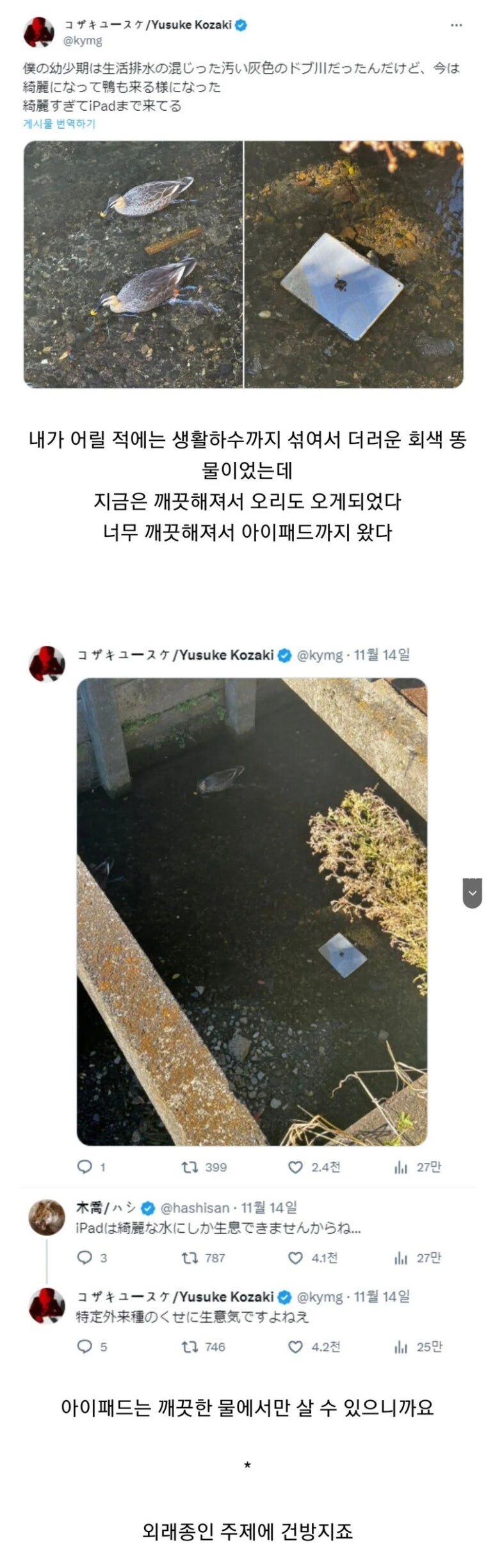 하천이 깨끗해지자 나타난 생태계 변화_1.png