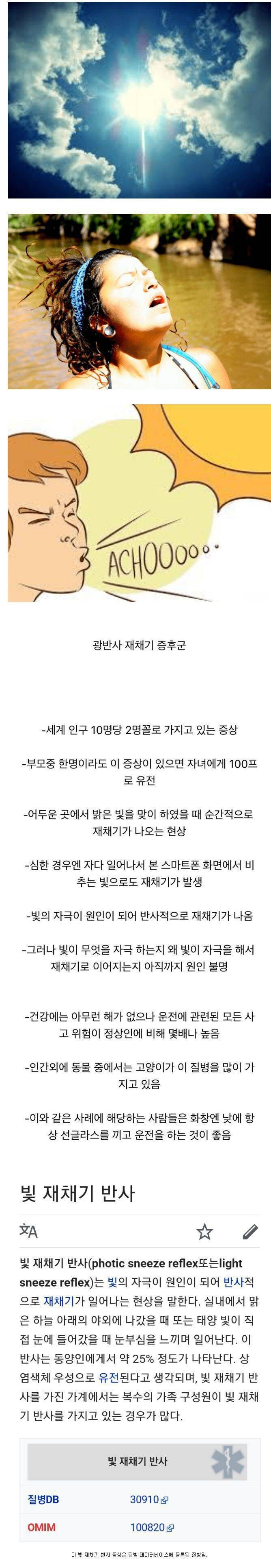 10명 중 2명이 갖고 있다는