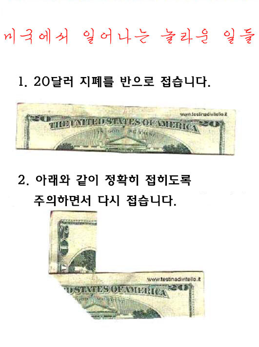 한국의 김민지급 미국 지폐 괴담 ㄷㄷ jpg._1.jpg