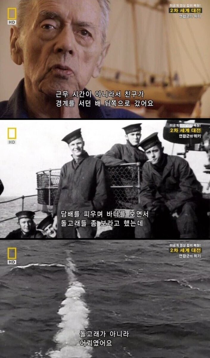 참전용사가 증언한 돌고래의 위험성.jpg_1.jpg