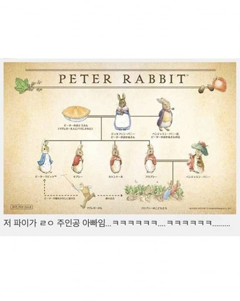 와~ 피터래빗 아빠가 파이래. 신기하다~_1.jpg