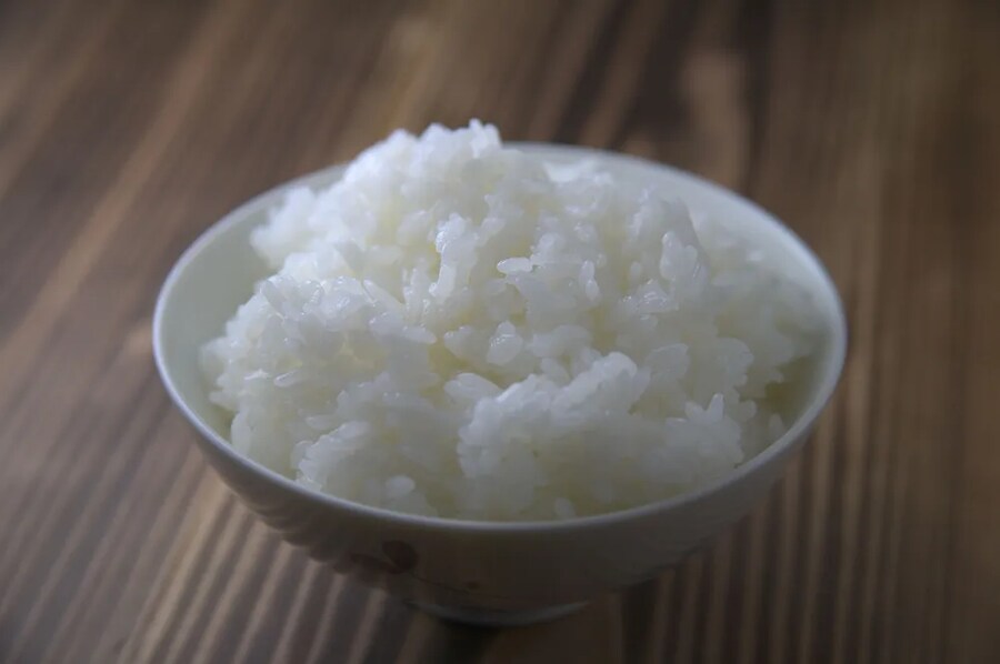 정제탄수화물을 피하라고 하면 빵만 안먹으면 되겠구나!(X)_1.png