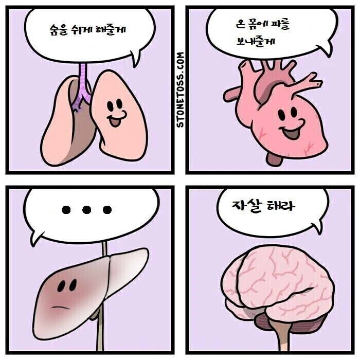 우리 몸 신체 장기들의 특징.jpg_1.jpg