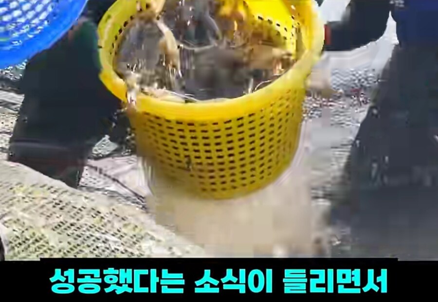 블랙타이거새우 양식 방법_3.jpg