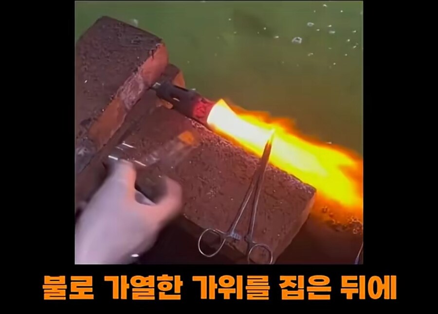 블랙타이거새우 양식 방법_6.jpg