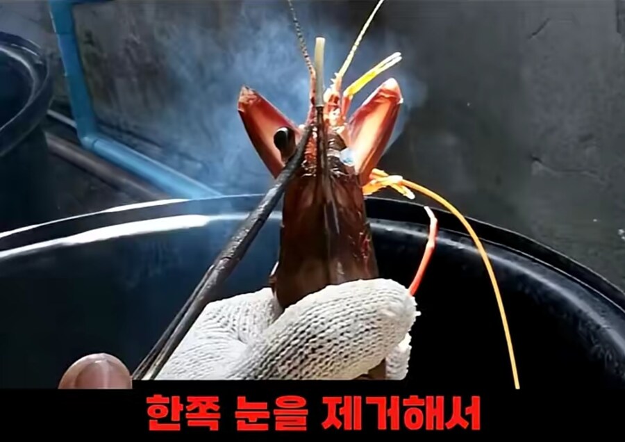 블랙타이거새우 양식 방법_7.jpg