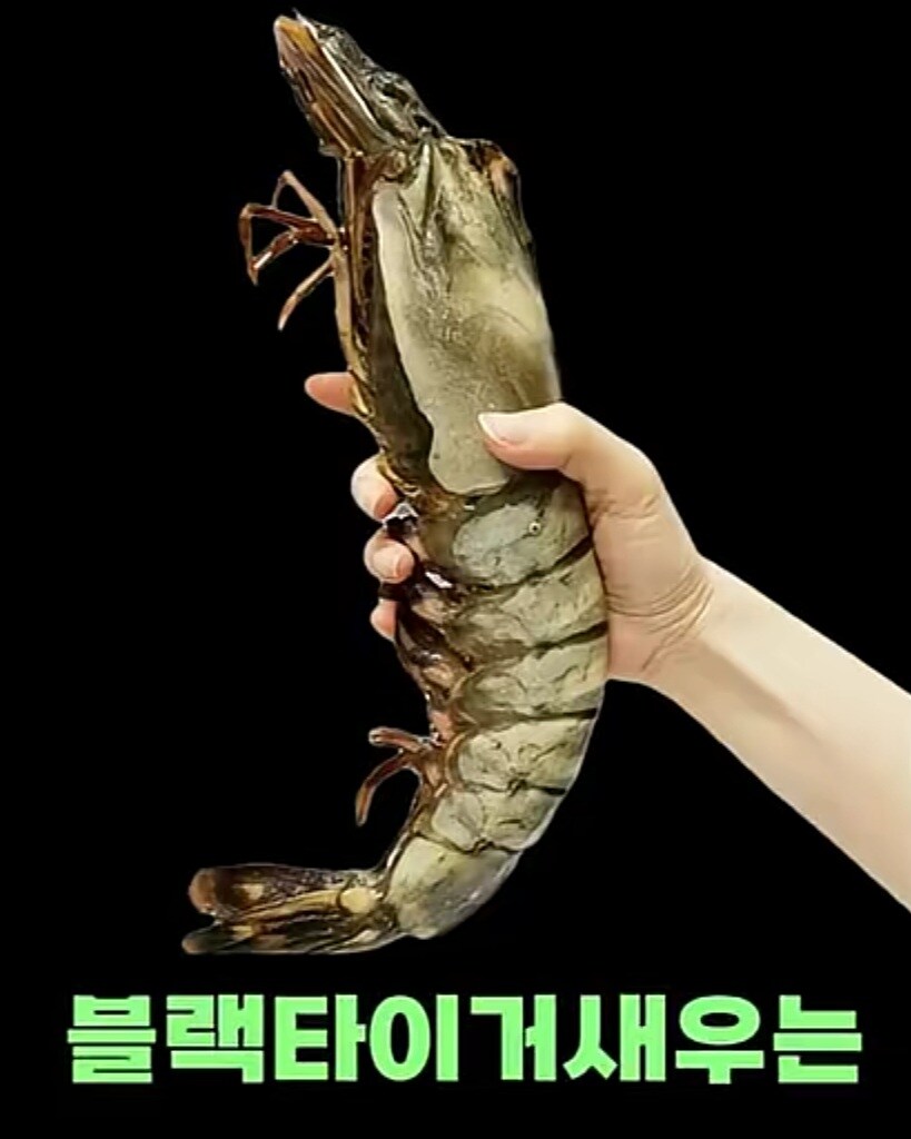 블랙타이거새우 양식 방법_11.jpg