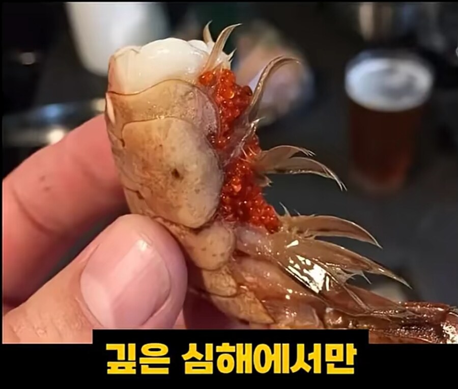블랙타이거새우 양식 방법_12.jpg